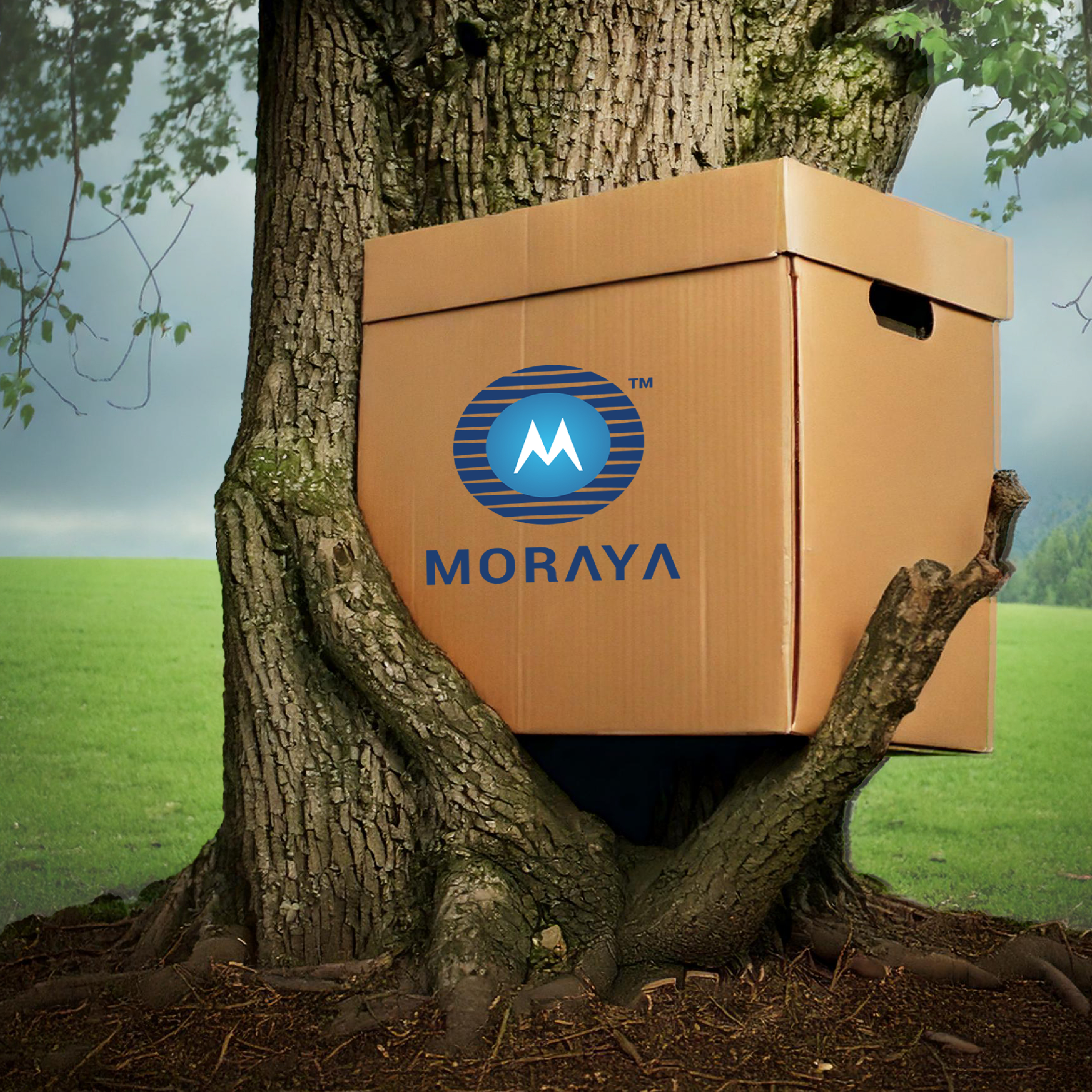 About Moraya Packaging